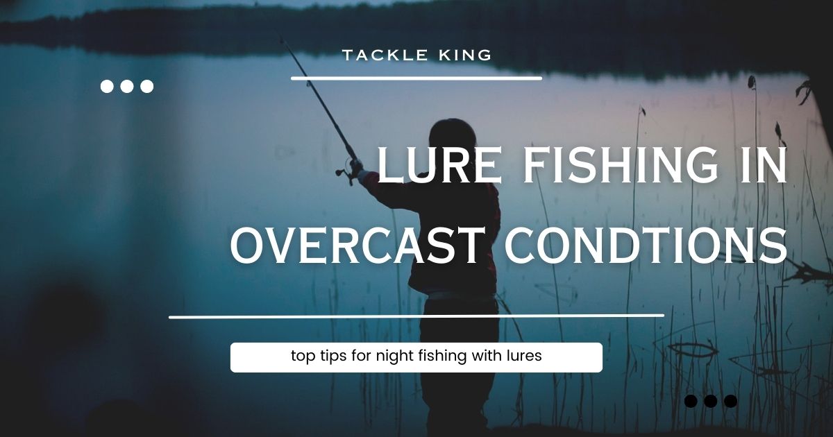 night fishing with lures