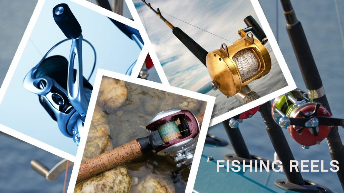 fishing reels for sale