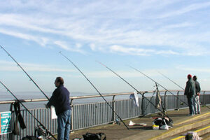 cardiff barrage fishing